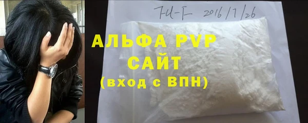 стаф Алексин