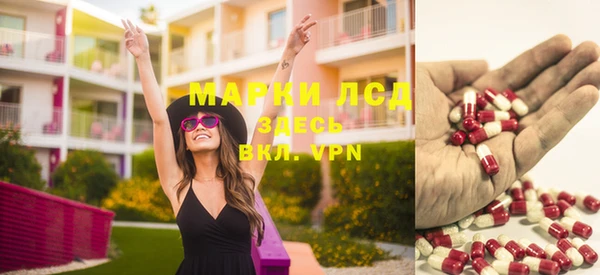 apvp Алзамай